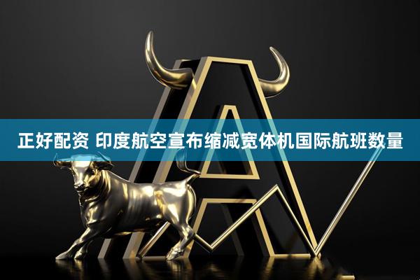 正好配资 印度航空宣布缩减宽体机国际航班数量