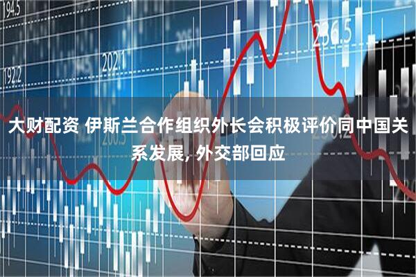 大财配资 伊斯兰合作组织外长会积极评价同中国关系发展, 外交部回应