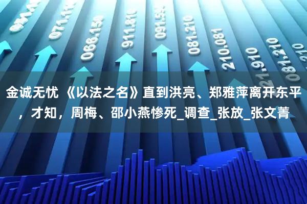 金诚无忧 《以法之名》直到洪亮、郑雅萍离开东平，才知，周梅、邵小燕惨死_调查_张放_张文菁