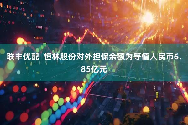联丰优配  恒林股份对外担保余额为等值人民币6.85亿元
