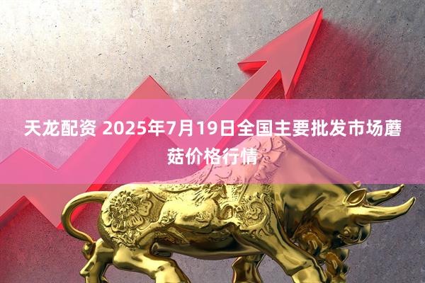 天龙配资 2025年7月19日全国主要批发市场蘑菇价格行情