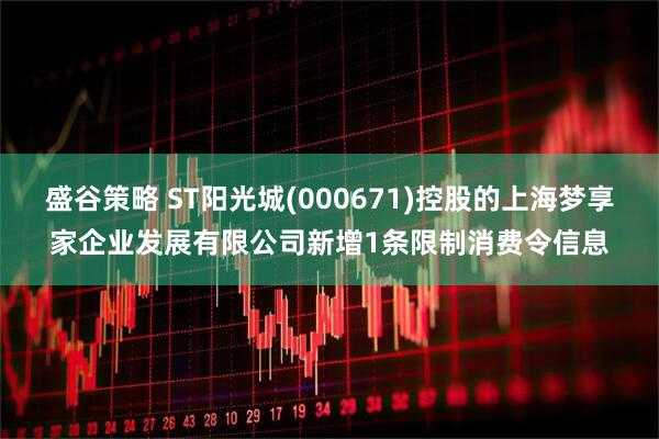 盛谷策略 ST阳光城(000671)控股的上海梦享家企业发展有限公司新增1条限制消费令信息
