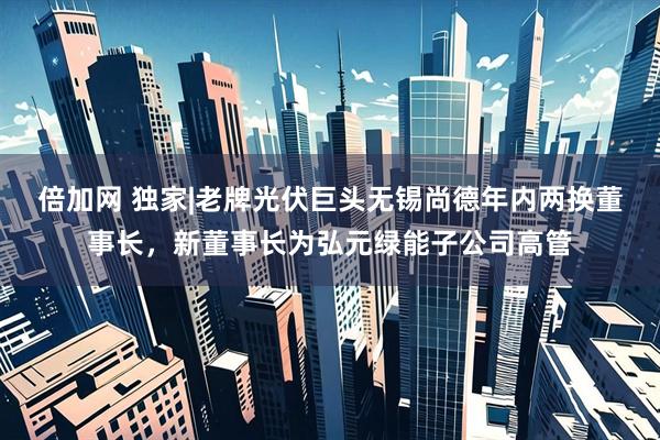 倍加网 独家|老牌光伏巨头无锡尚德年内两换董事长，新董事长为弘元绿能子公司高管