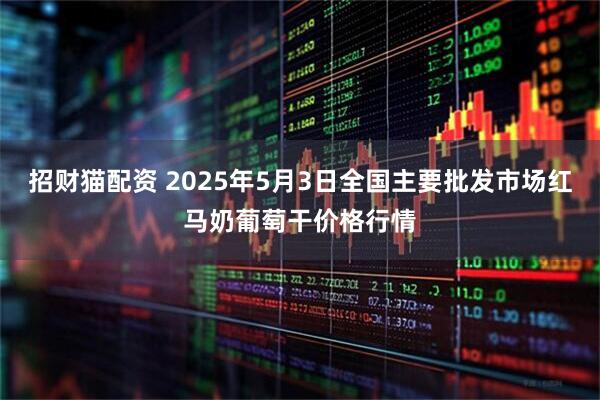 招财猫配资 2025年5月3日全国主要批发市场红马奶葡萄干价格行情