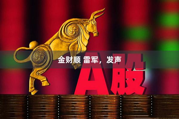 金财顺 雷军，发声